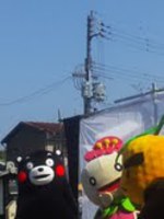 kumamon.jpg